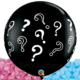 Gender Reveal Nijmegen